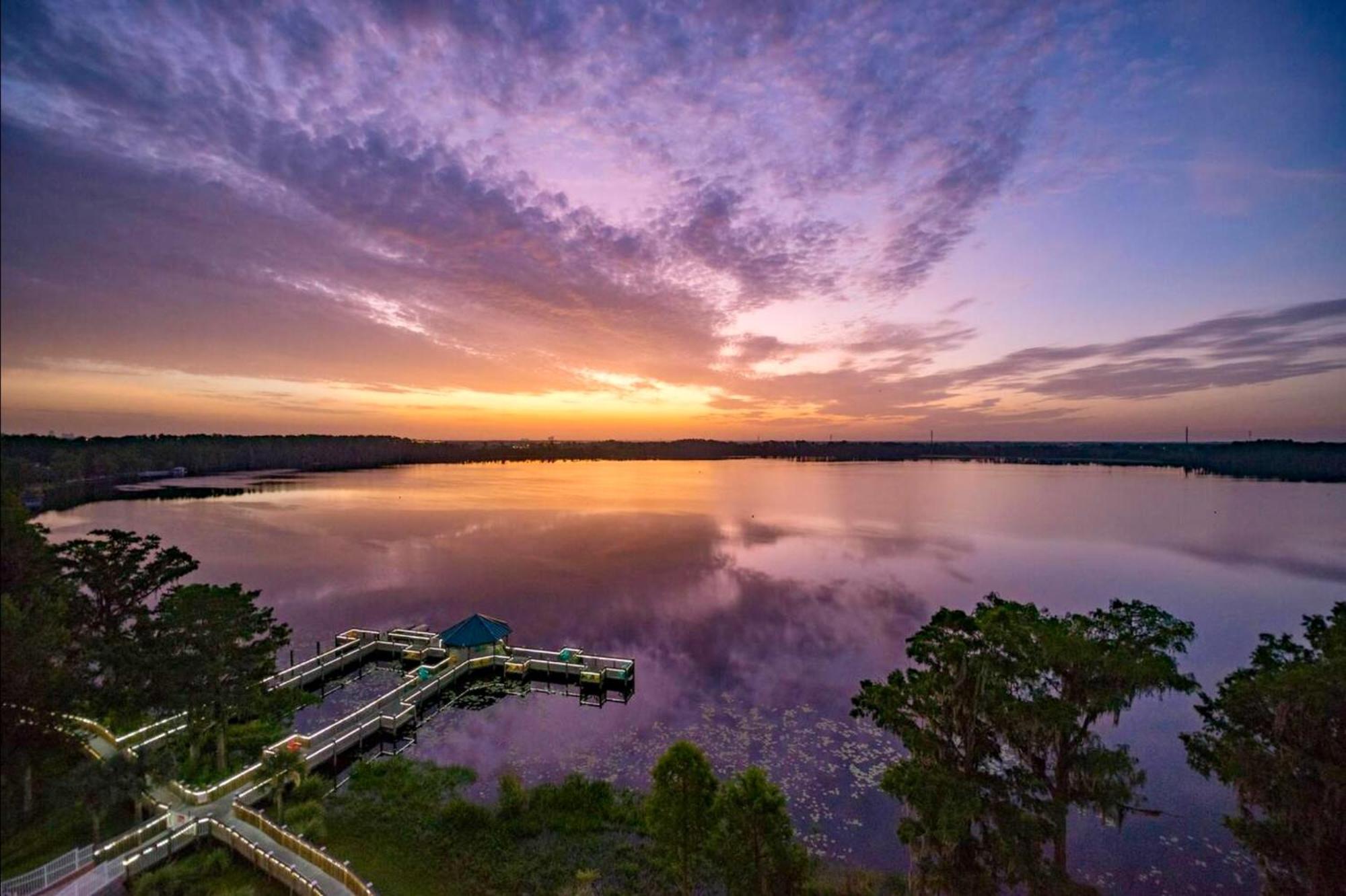 Balcony King Suite - Lake & Pool View Orlando Ngoại thất bức ảnh